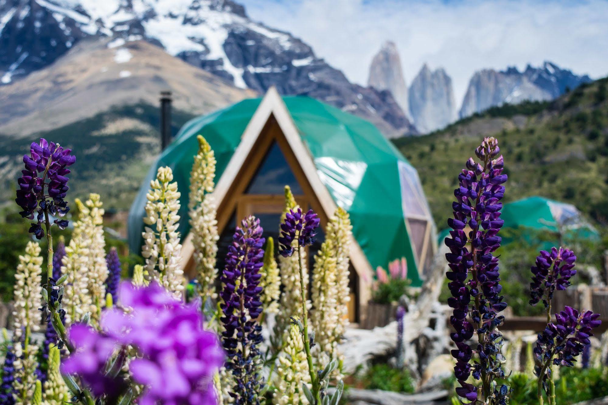 Villa Ecocamp Patagonia Torres del Paine National Park Esterno foto